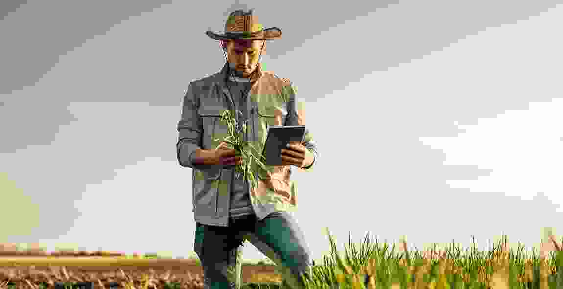 How The Internet Can Benefit The Agricultural Industry?